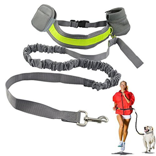 Sportive Hand Free Elastic Dog Leash