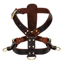 Load image into Gallery viewer, Genuine Leather Dog Harness for Medium Large Dogs