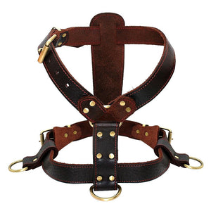 Genuine Leather Dog Harness for Medium Large Dogs