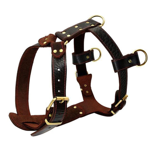 Genuine Leather Dog Harness for Medium Large Dogs