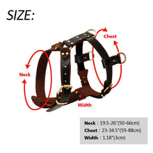 Load image into Gallery viewer, Genuine Leather Dog Harness for Medium Large Dogs