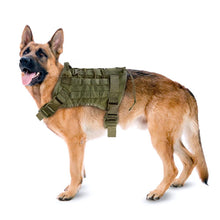 Load image into Gallery viewer, Military Water Resistant Dog Harness