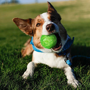 Rubber Ball for every size of dogs