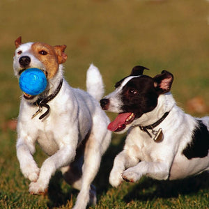 Rubber Ball for every size of dogs