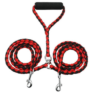 Double Leash for Two Dogs
