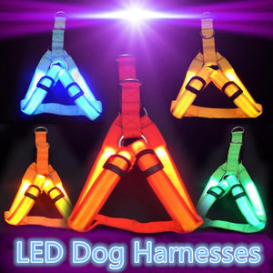 Dog Harness in Nylon Safety LED