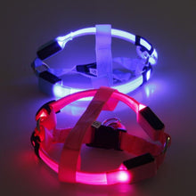 Load image into Gallery viewer, Dog Harness in Nylon Safety LED
