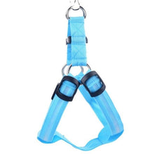 Load image into Gallery viewer, Dog Harness in Nylon Safety LED
