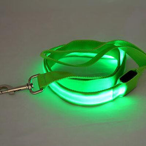 Nylon LED Light Dog Leash