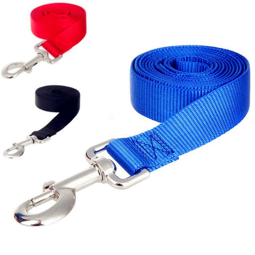 Sportive Leash dog for every size of dogs