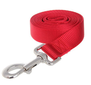 Sportive Leash dog for every size of dogs