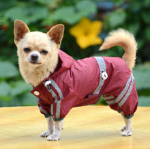 Load image into Gallery viewer, Waterproof For Small Dogs